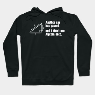 Another Day Has Passed, And I Didn't Use Algebra Once Hoodie